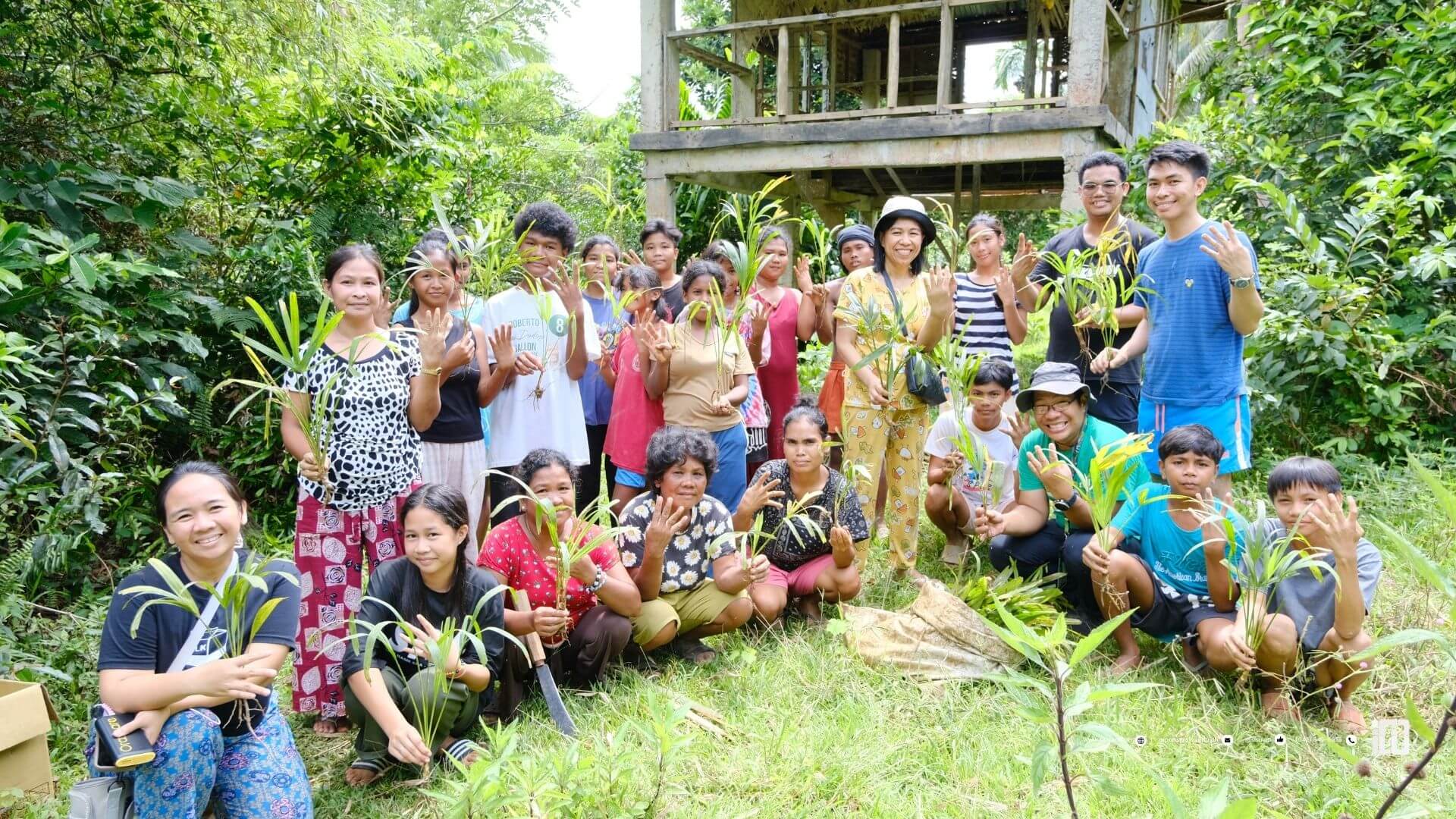 Buri Cultivation (11)